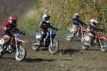1254512202_Races_-_Lemx2.jpg